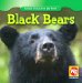  Black Bears