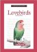 A New Owner's Guide to Lovebirds
