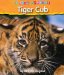  Tiger Cub