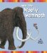  Meet The Woolly Mammoth