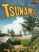  Tsunamis