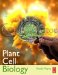  Plant Cell Biology: From Astronomy to Zoology