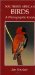  Southern African Birds: A Photographic Guide
