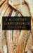  J. M. Coetzee: Countervoices