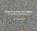 Running the Numbers: An American Self-Portrait