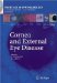  Cornea And External Eye Disease