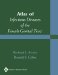  Atlas Of Infectious Diseases Of The Female Genital Tract