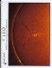  Leo 2010 Starlines Astrological Calendar
