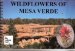  Wildflowers of Mesa Verde