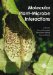 Molecular Plant-microbe Interactions