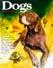  Dogs