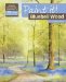  Bluebell Wood in Watercolour