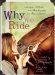  Why We Ride: Women Writers on the Horses in Their Lives