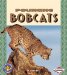  Pouncing Bobcats