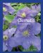  Clematis: Over 100 Varieties