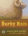 The Derby Ram
