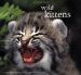  Wild Kittens