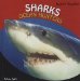  Sharks: Ocean Hunters