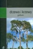 Drzewa I Krzewy Iglaste