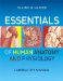  Essentials of Human Anatomy & Physiology