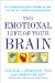 The Emotional Life of Your Brain: A Scientific Dialogue With the Dalai Lama on the Healing Power of Meditation