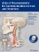  Atlas of Neuroanatomy for Communication Science and Disorders